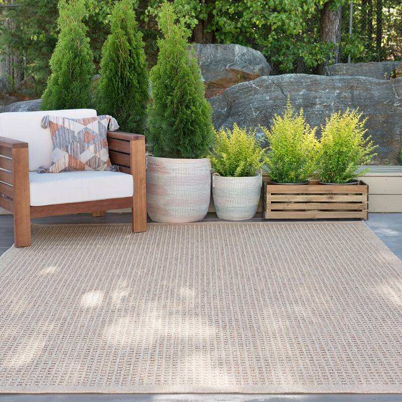Dennis Coastal Windowpane Indoor/Outdoor Area Rug