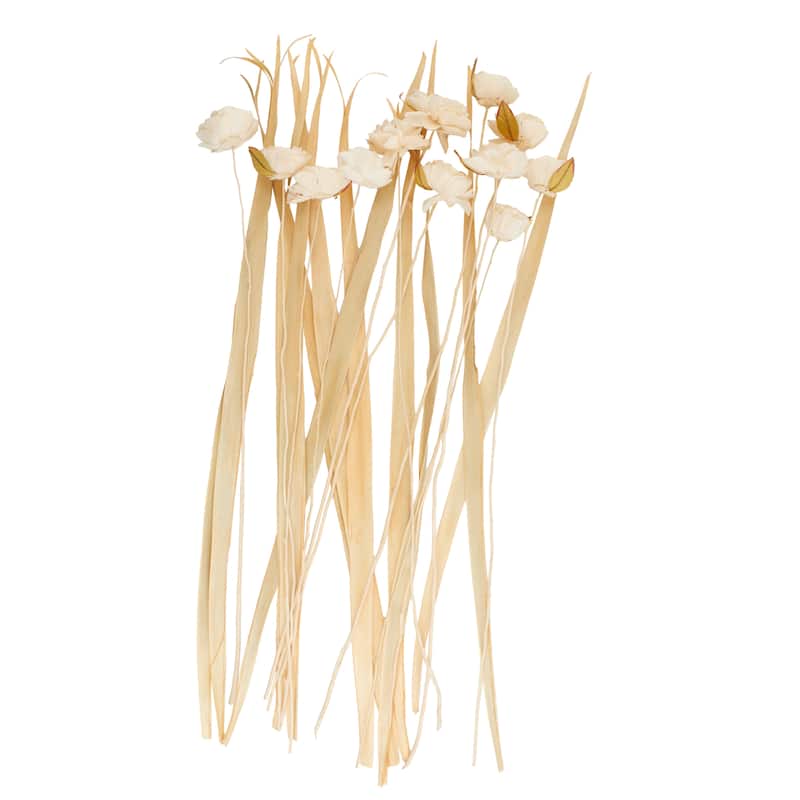 Dried Plant Tall Natural Foliage with Flower Petals and Leaves - Cream - Roche River Decor - 10"W x 10"L x 49"H