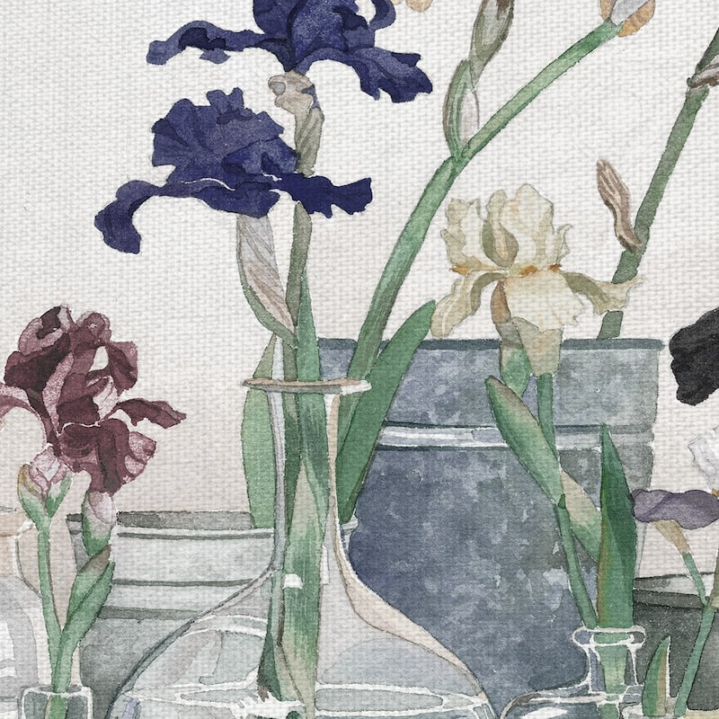 Irises in Vases Ivory by Suzanne Cruise Creative Services Canvas Art Print