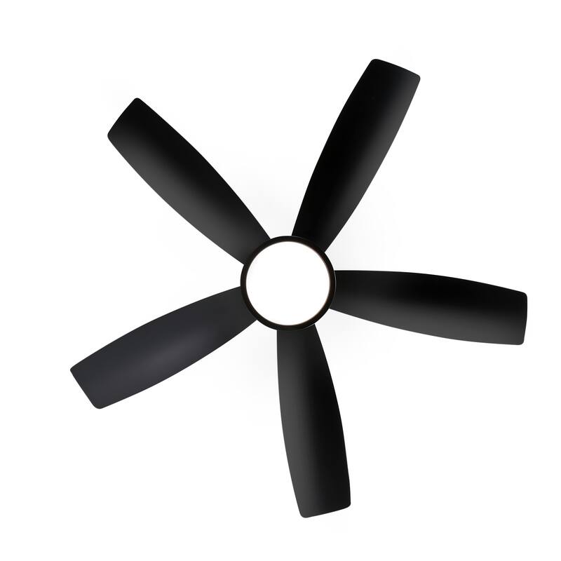 Breezary 65"/52"/42" 5-Blade LED Ceiling Fan with Light Kit and Remote