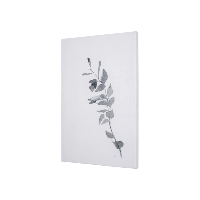 Leaf Shadow III (24 x 36 ) Canvas Art Print