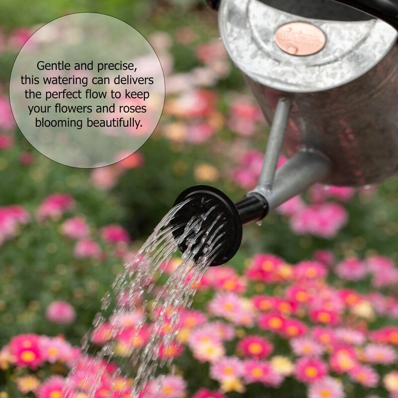 Gardenised 1 Gallon Galvanized Metal Watering Can with Removable Long Spout & Sprinkler Head for Indoor & Outdoor Use