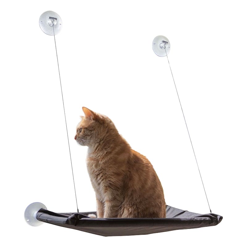 Petmaker Cat Window Perch for Large Cats, Black - N/A - Black