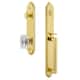 Option Lifetime Brass