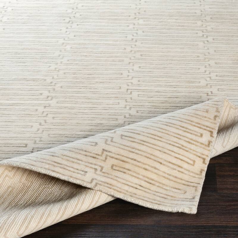 Hand-Knotted Aniya Stripe Pattern Viscose Area Rug
