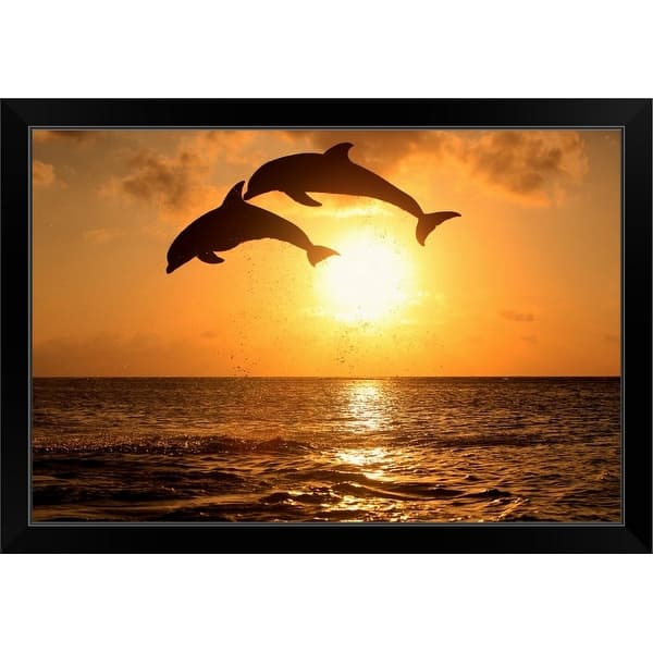 Bottle Nosed Dolphins Leaping In Front Of A Sunset Black Framed Print On Sale Overstock 30199036 Beautiful dolphin diving out of the water against the backdrop of the sunset, the sun going over the horizon. bottle nosed dolphins leaping in front