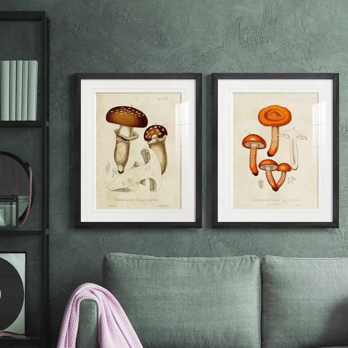 Mushroom Varieties III Premium Framed Print - Ready to Hang - Multi ...