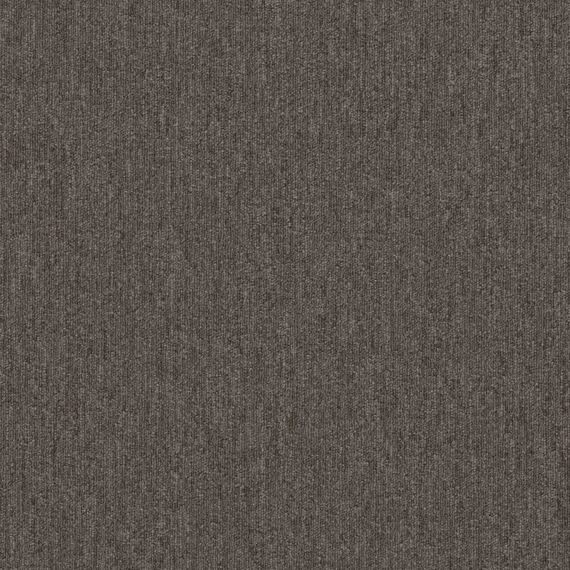 Shaw Philadelphia Commercial Beyond Limits 24" x 24" Glue Down Carpet