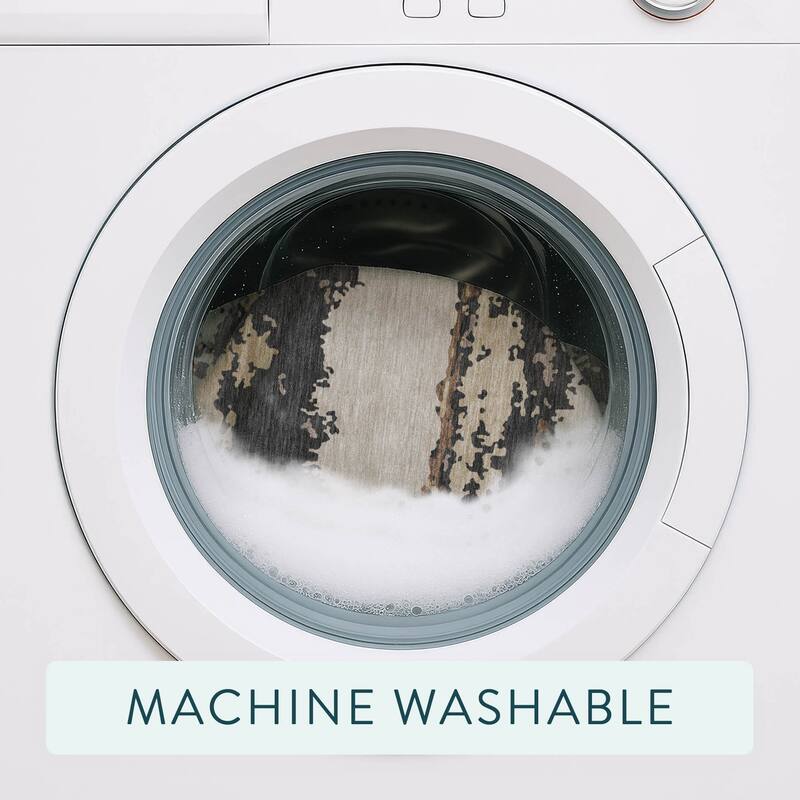 Machine Washable Indoor/ Outdoor Modern Buena Chantille Rug