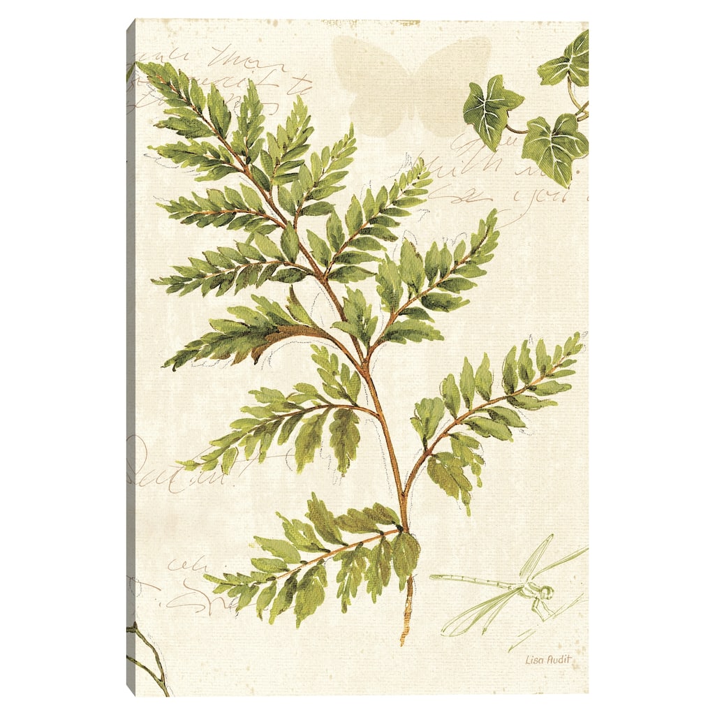 Ivies and Ferns I by Lisa Audit Canvas Art Print