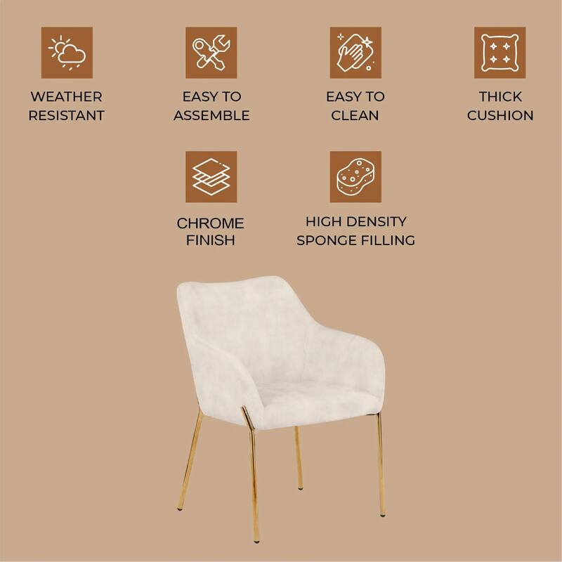 Zaire Upholstered Dining Chair in Velvet/Leather/Boucle with Gold Chrome Iron Set of 2