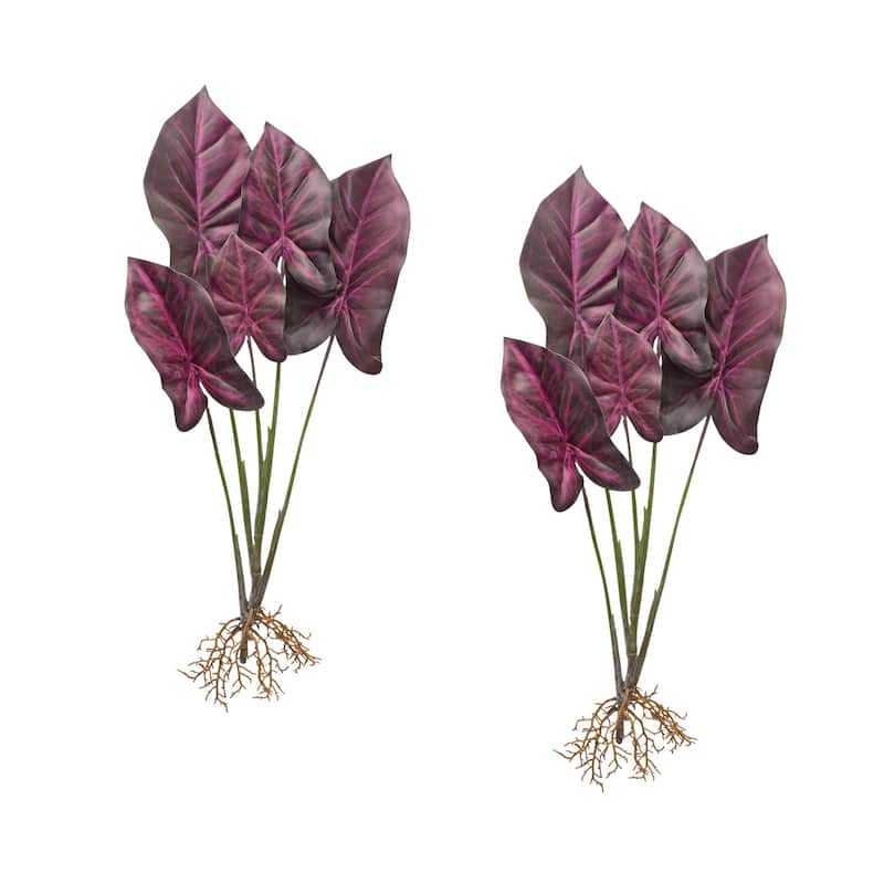 Caladium Plant (Set of 2) - Green