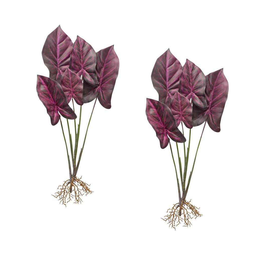 Caladium Plant (Set of 2)