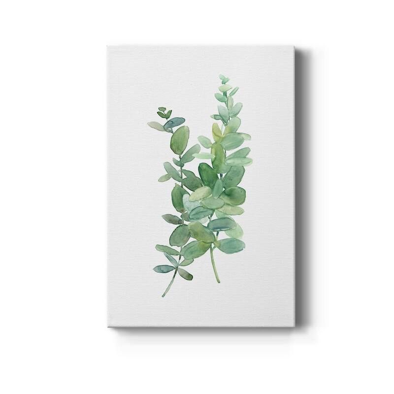 Eucalyptus I Premium Gallery Wrapped Canvas - Ready to Hang - 8X12