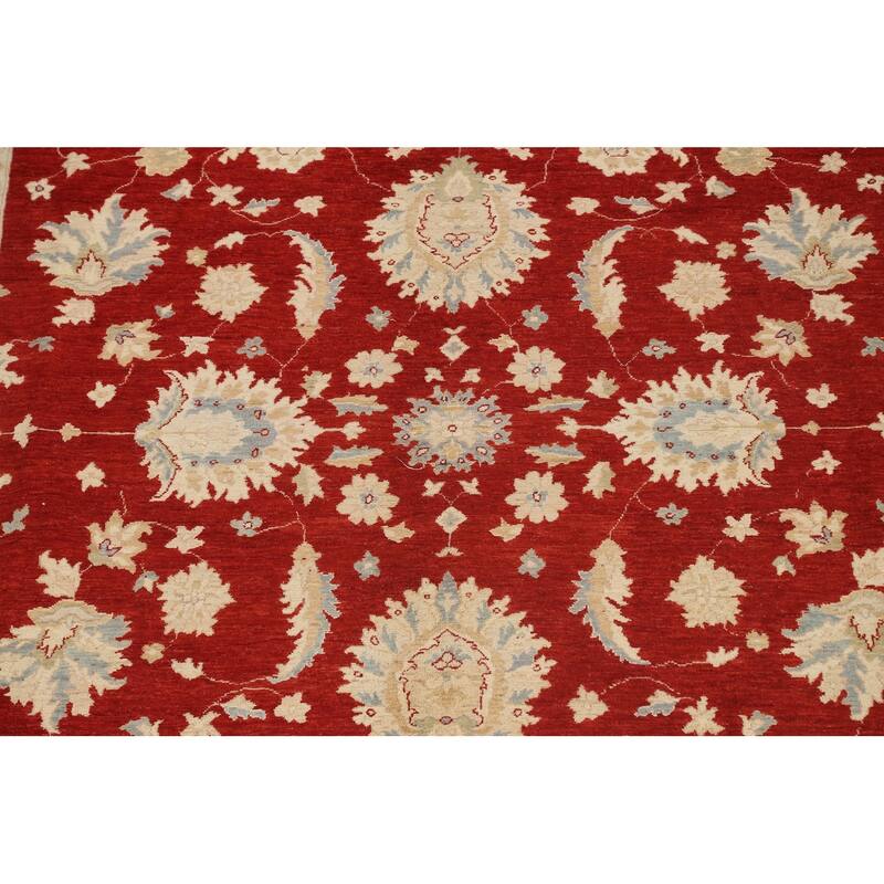 Vegetable Dye Floral Ziegler Oriental Wool Area Rug Handmade Carpet - 10'1" x 13'8"