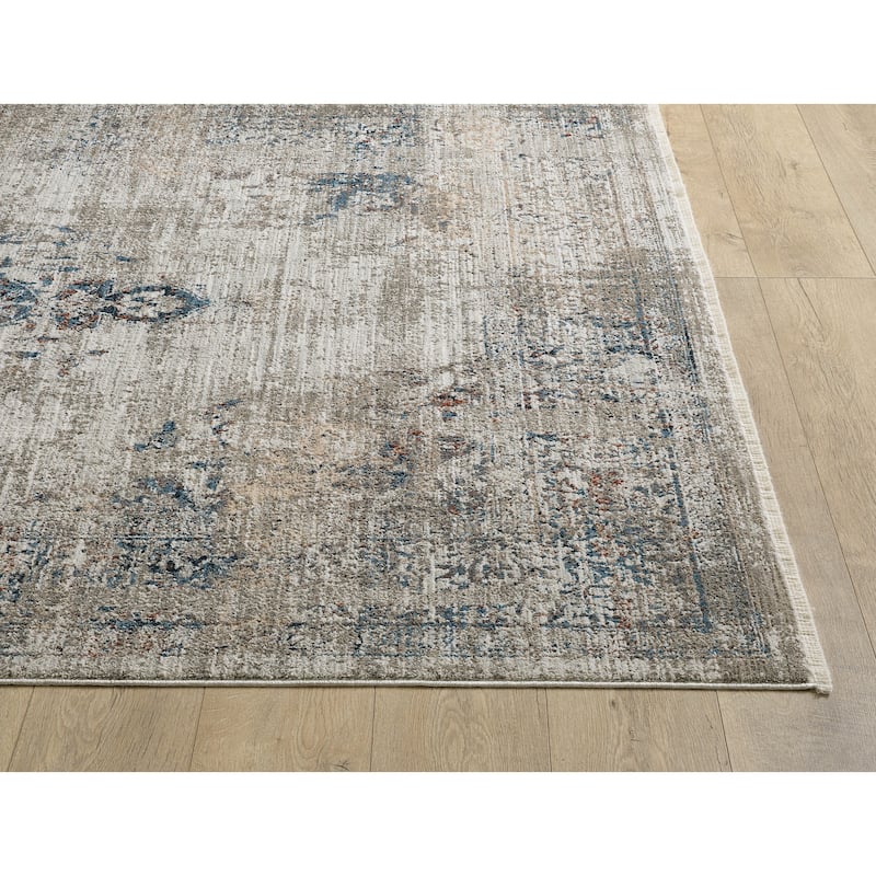 Domani Craze Tranditional & Distressed Area Rug