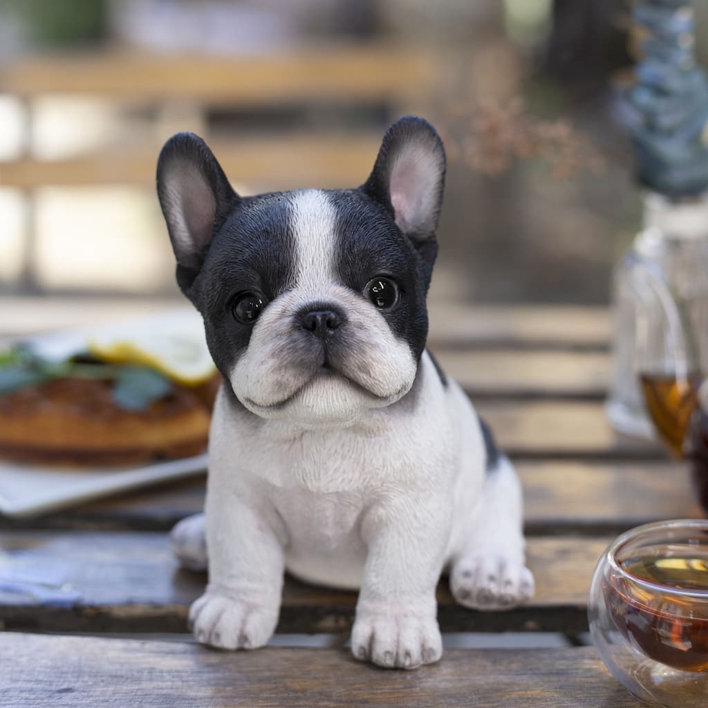 Sitting French Bulldog Puppy Outdoor Garden Statue - 6.25" - White and Black