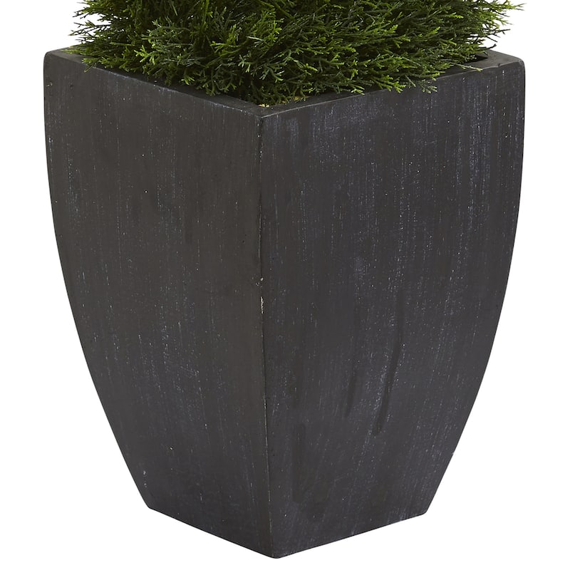 5ft Double Pond Cypress Spiral Artificial Tree in Black Wash Planter with UV Resistant Greenery for Entryway Decor