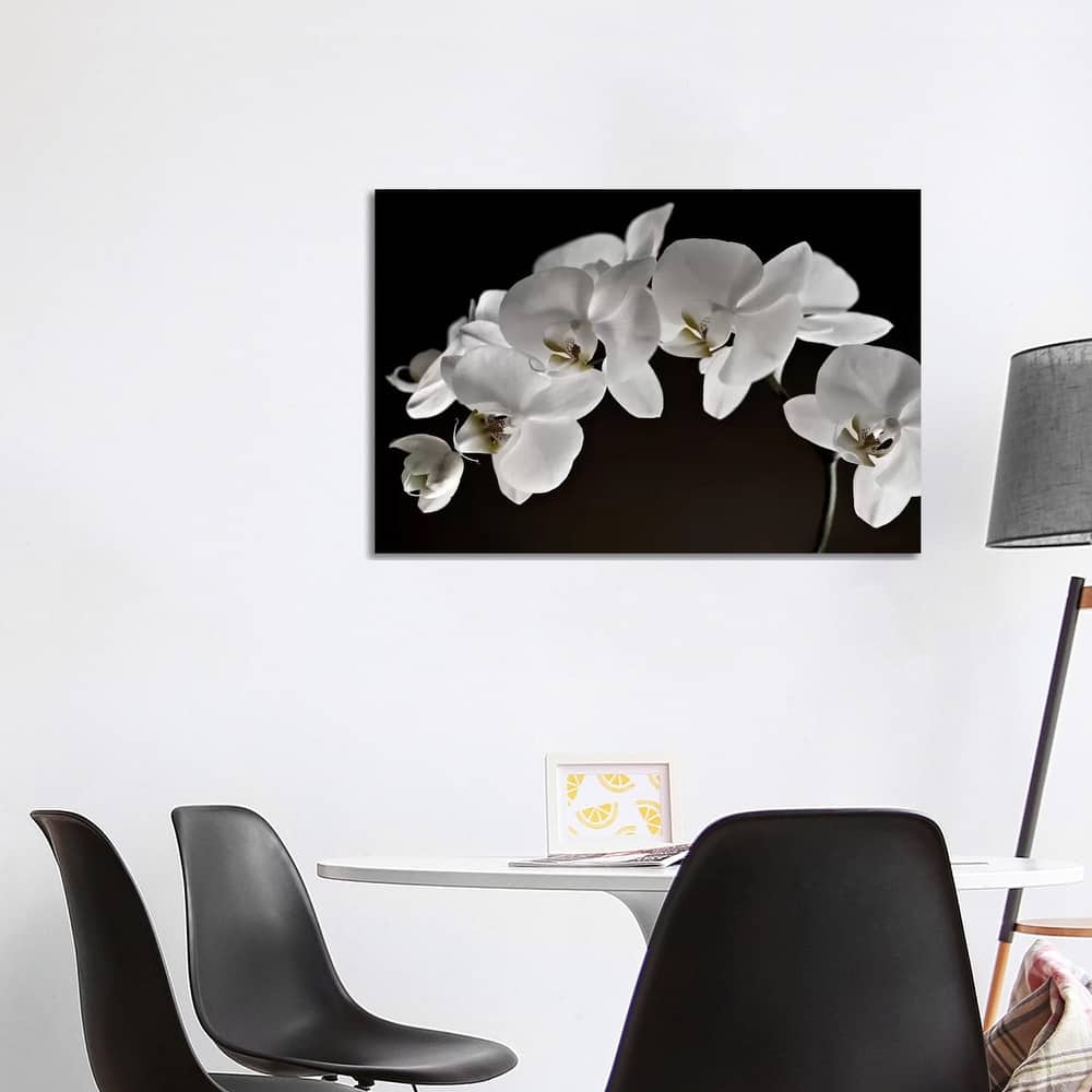 iCanvas "Orchids" by Symposium Design Canvas Print