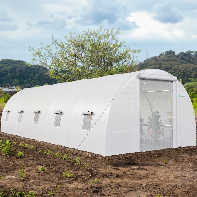 Moasis Greenhouse with Reinforced Steel Frame PE Cover - 26'D White