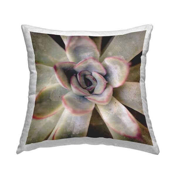 Stupell Succulent Petals Pattern Printed Outdoor Throw Pillow Design by  Susan Bryant - On Sale - Bed Bath & Beyond - 41139409