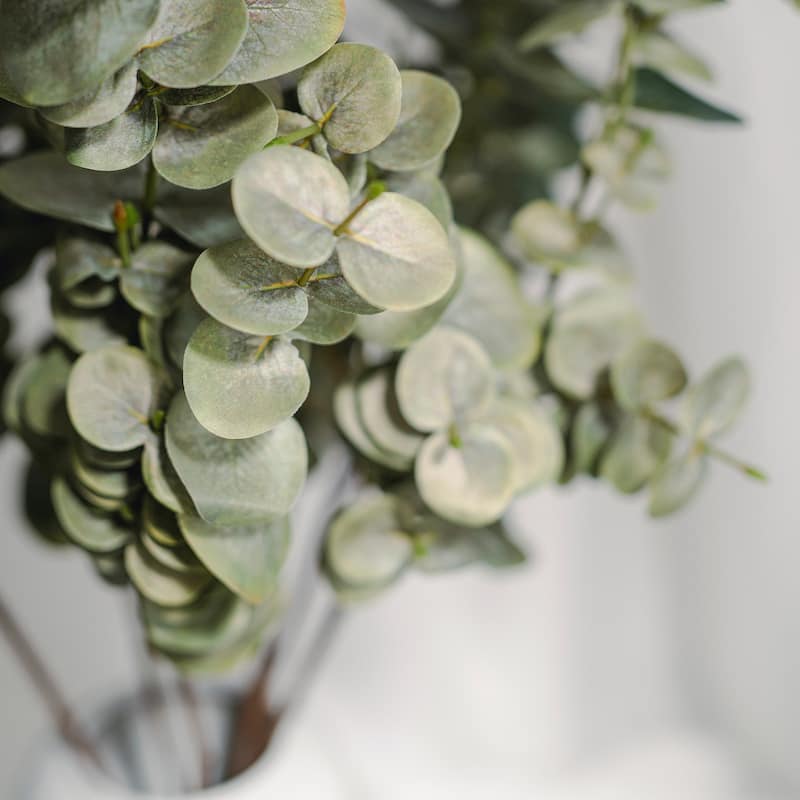 Gray Green Artificial Eucalyptus Branch(1 Stem)