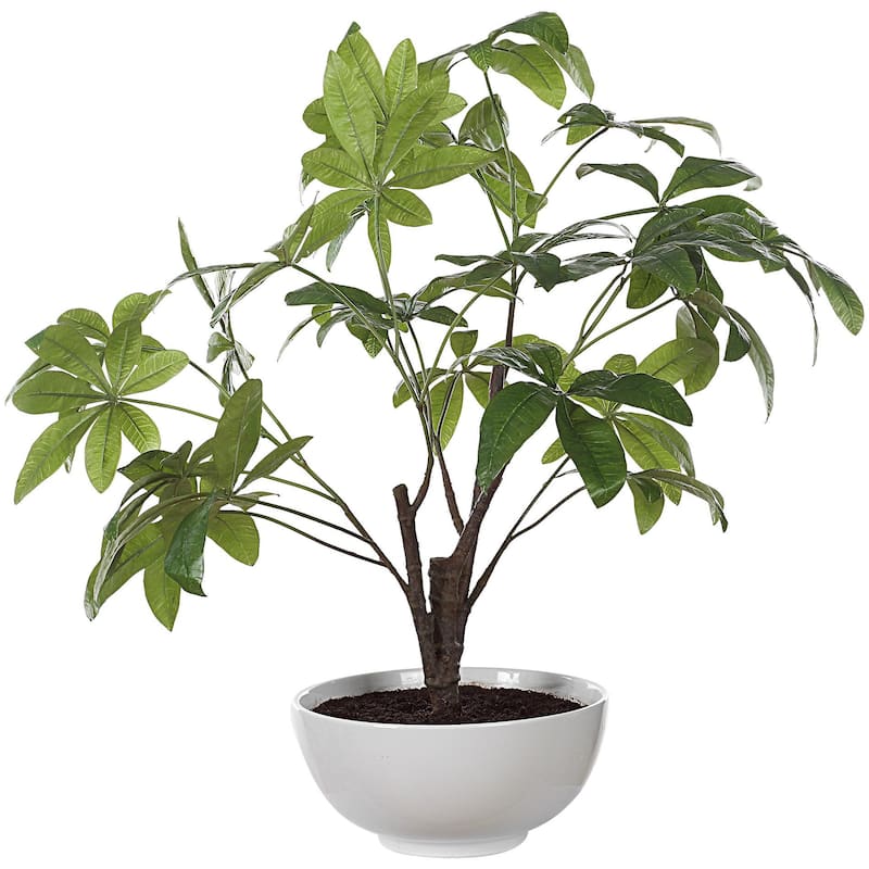Uttermost 60225 Pachira Money 34-1/2" Tall Ceramic Faux Flora Planter