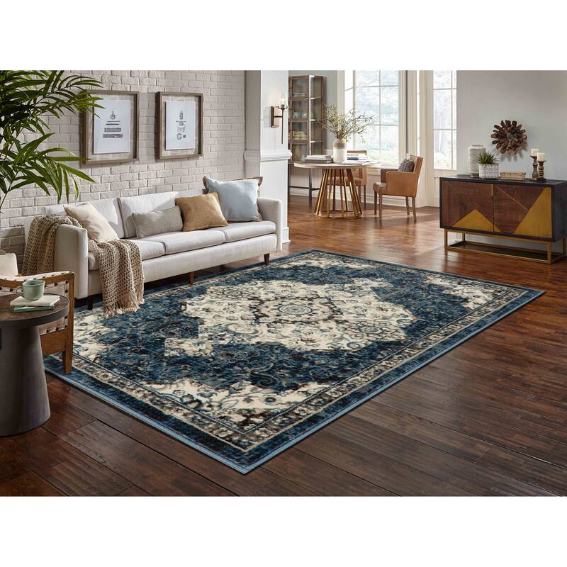 Anila Collection Transitional Oriental Area Rug