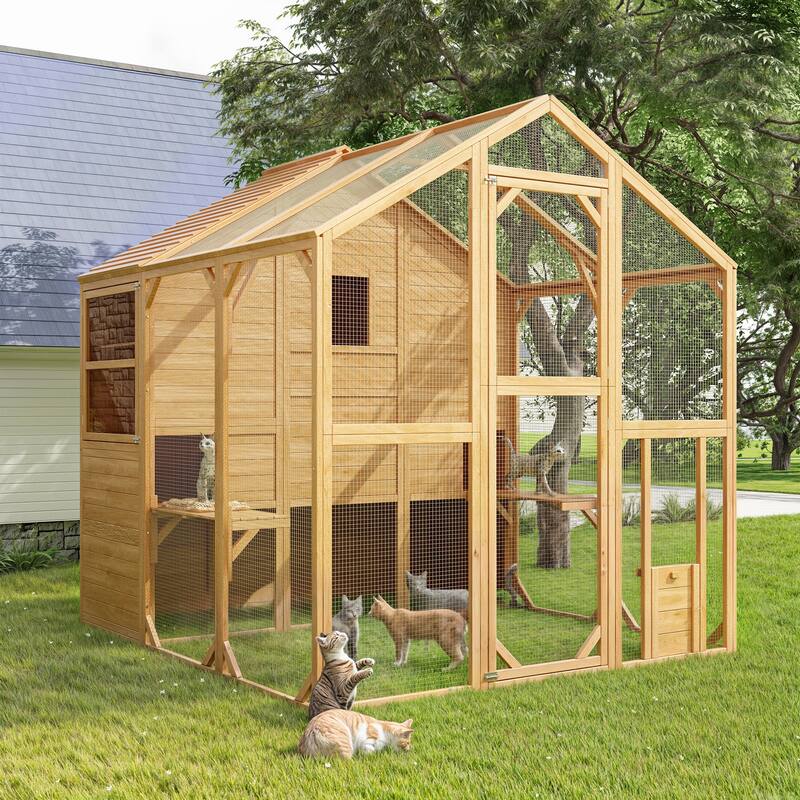 Cat Catio Window Box for 6 to 8 Kittens, Lockable House with 5 Windows