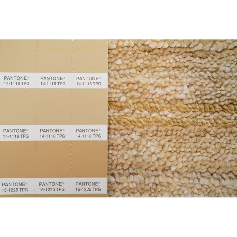 Hand Knotted Oriental Viscose Silk Carpet Tribal Animal Pictorial Yellow & Gold Gabbeh Area Rug - 11' 11'' X 8' 11''