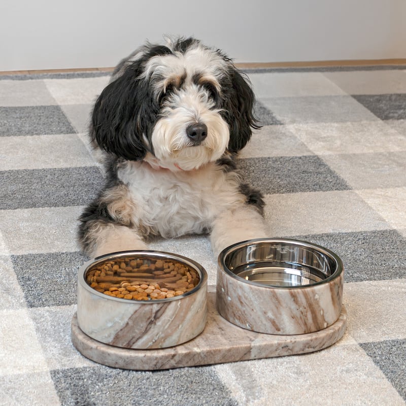 Marbre 12oz Double Pet Bowl Set - Marble & Stainless Steel with Non-Slip Tray