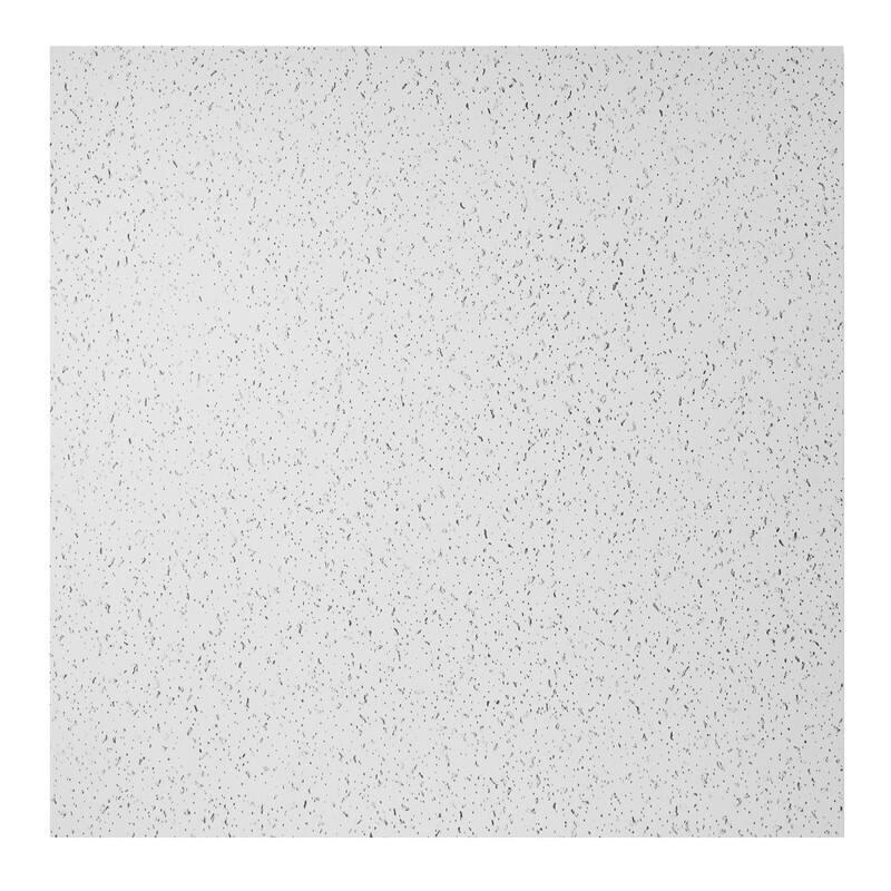 Genesis Printed Pro White 2 x 4 Lay-in Ceiling Tiles - 6in x 6in Sample