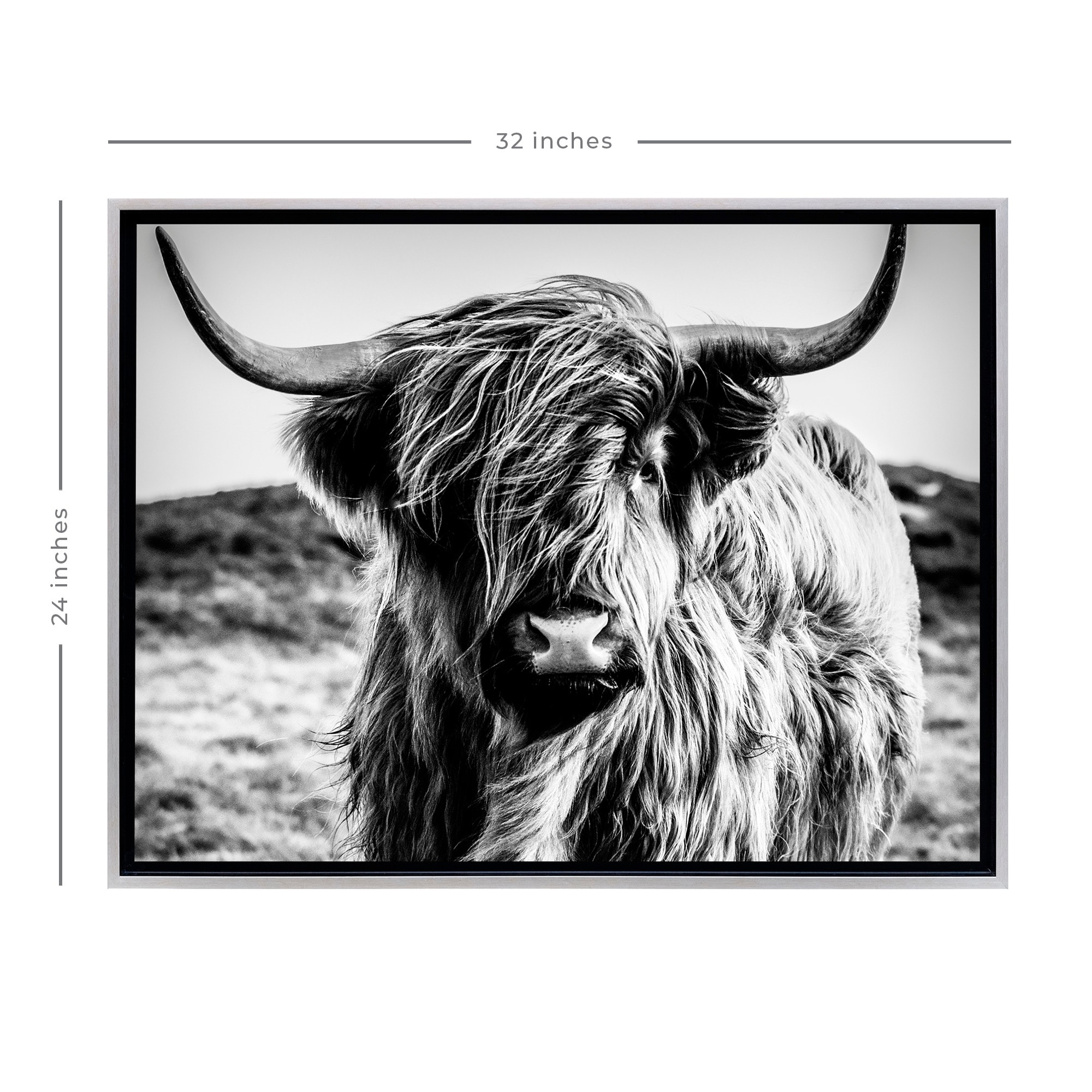 Stratton Home Decor Black and White Highland Cow Framed Canvas Wall Art  Champagne On Sale Bed Bath  Beyond 37855458