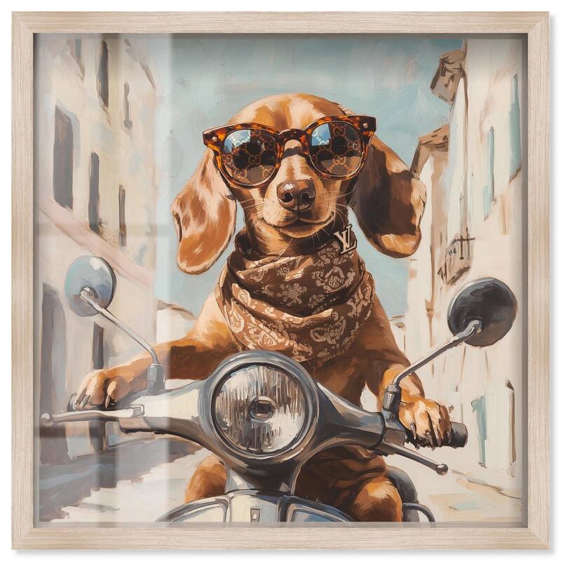 Doxxie on a Scooter Drive Shadowbox by Art Remedy - Natural - 16" x 16"