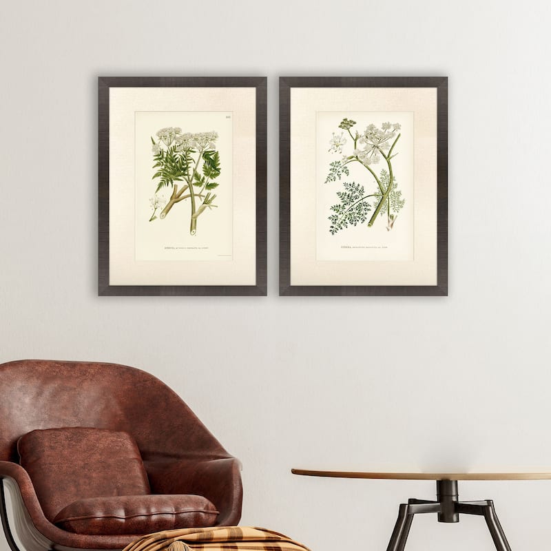 Paragon Queen's Lace I Framed Art - Set of 2 - 2-piece Set