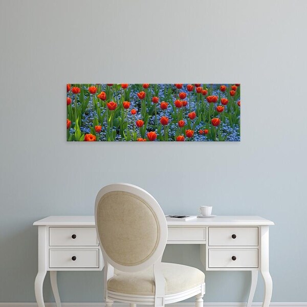 Easy Art Prints Panoramic Image 'Tulips, Butchart Gardens, Victoria, Vancouver Island, Canada' Canvas Art