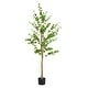 preview thumbnail 5 of 7, Christopher Knight Home - Harry Artificial Enkianthus Tree with Black Plastic Pot