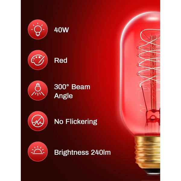 YANSUN 40-Watt T45 E26 Edison Incandescent Light Bulb (4-Pack) YANSUN 40-Watt T45 E26 Edison Incandescent Light Bulb (4-Pack)
