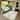 Machine Washable Indoor/ Outdoor Floral Chantille Rug