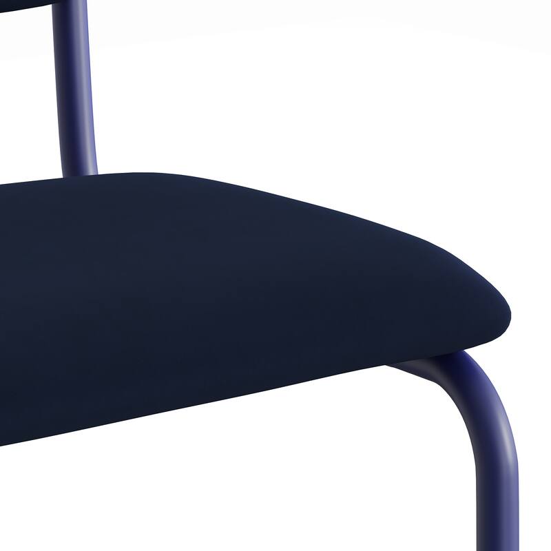 Latham Velvet Side Chair (Set of 2)