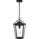 preview thumbnail 4 of 5, Darius 1-Light Outdoor Hanging Lantern in Earth Black