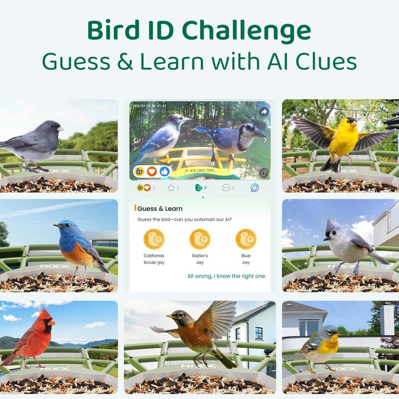 Smart Bird Feeder with Camera 2K HD Live