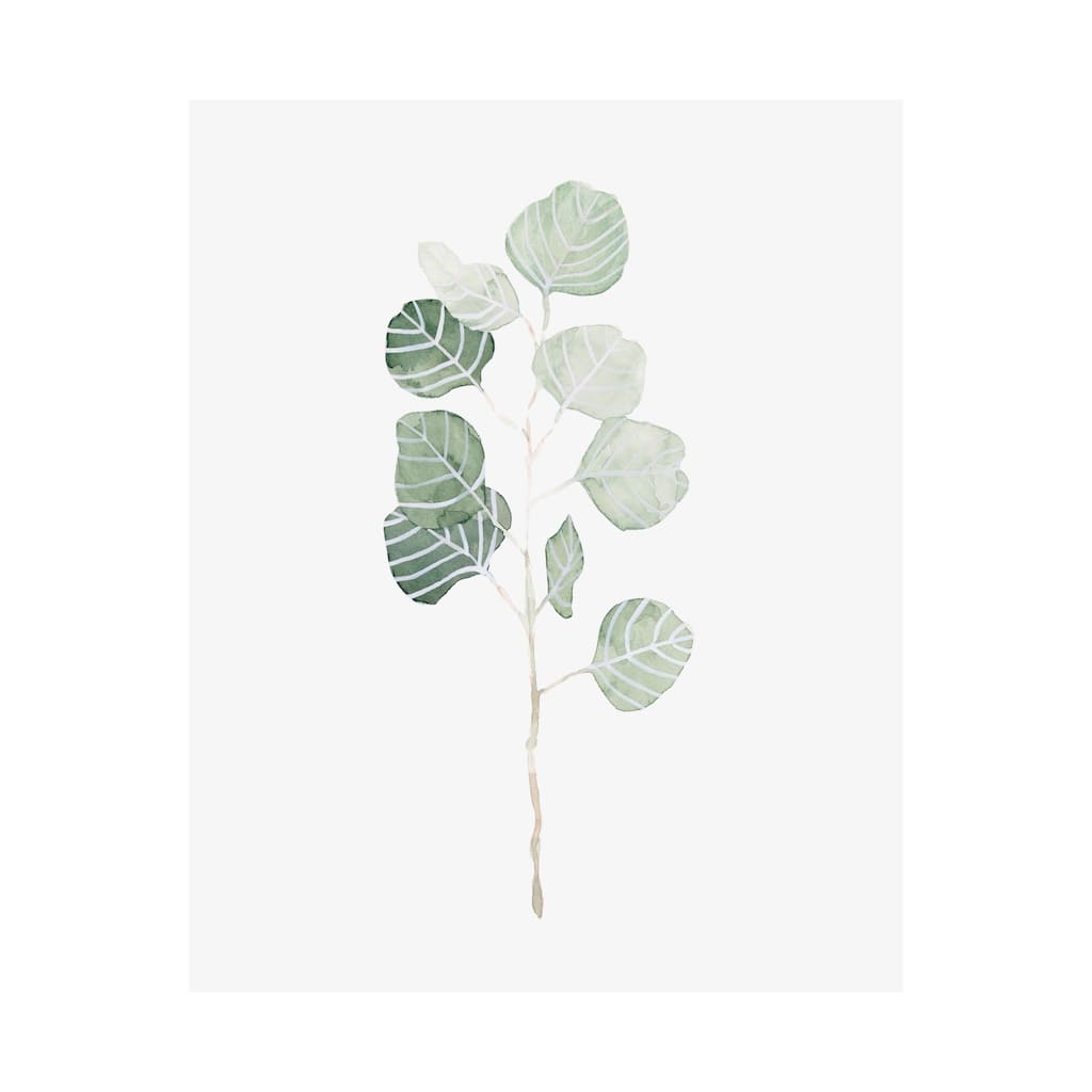 Soft Eucalyptus Branch I (40 x 50) Canvas Art Print