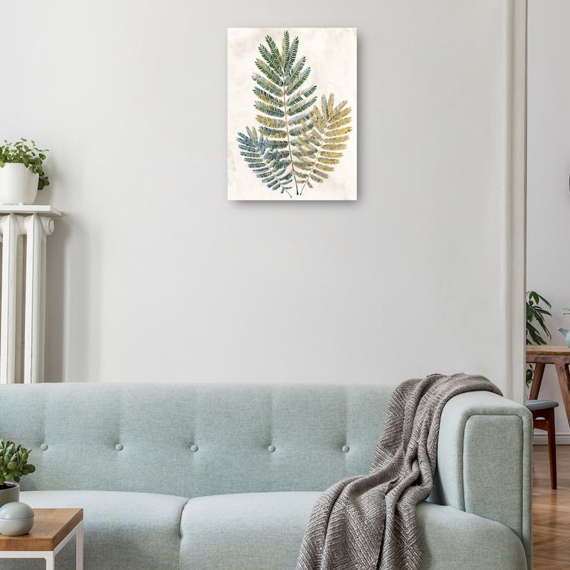 Opulent Ferns III By Studio Arts Canvas Art Print