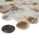 preview thumbnail 4 of 7, Merola Tile Conchella Penny Natural 11.25" x 11.63" Natural Seashell Mosaic Tile