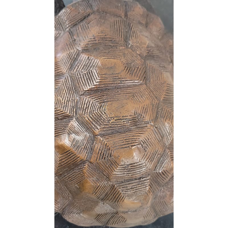 Limited Edition Bronze Tortoise Turtle Life Size Sculpture Statue Figure