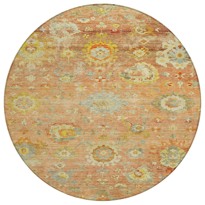 Machine Washable Indoor/ Outdoor Vintage Traditional Chantille Rug