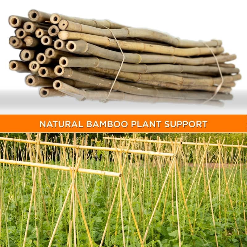 Bamboo Stakes For Gardening Plant Support for Garden Natural (25-Pack)