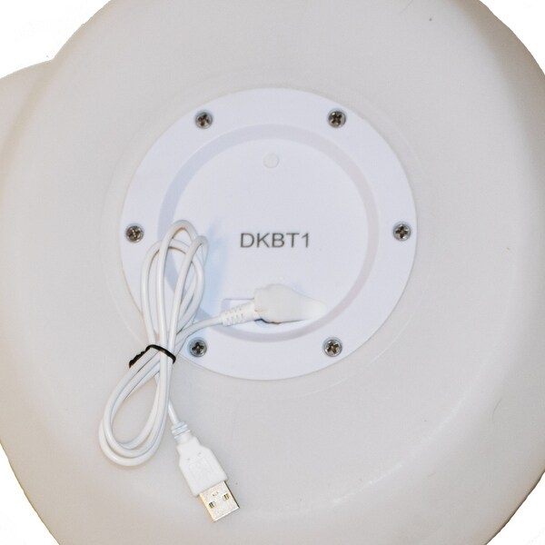 led floating duck speaker