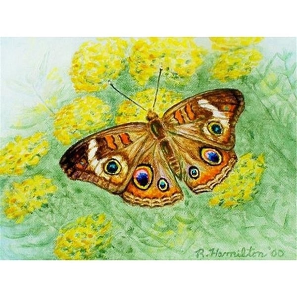 Betsy Drake DM763 Buckeye Butterfly Doormat 18 x 26